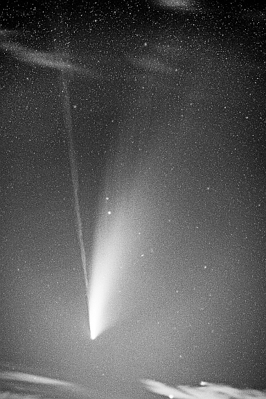 Komet Neowise C 2020 F3 by Th. Boeckel